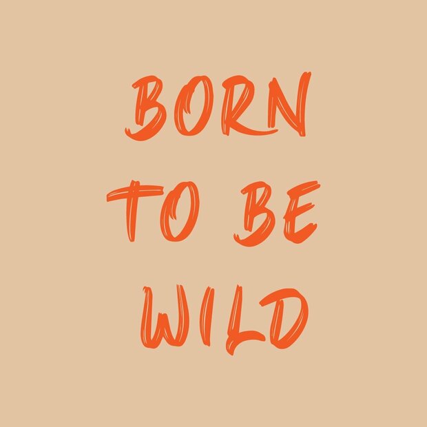Leistenen tegeltje 10&times;10 cm met tekst &ldquo;Born to be wild&rdquo;, matte steenstructuur
